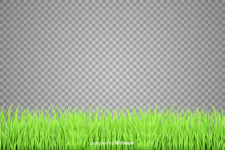 Vector batas rumput gaya realistis