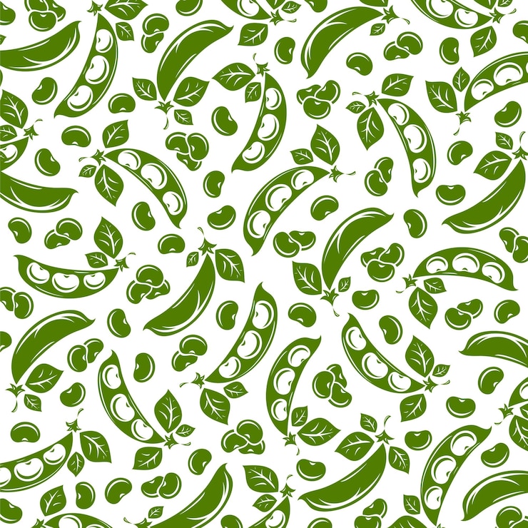 Vector beans pattern background set collection icon beans vector
