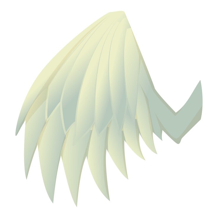 Vector beautiful wing icon cartoon illustration of beautiful wing vector icon for web
