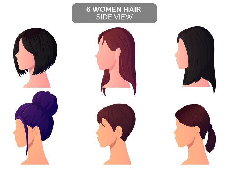 Vector beautiful women hairstyle side view, bun, blond, strait and short hair premium vector