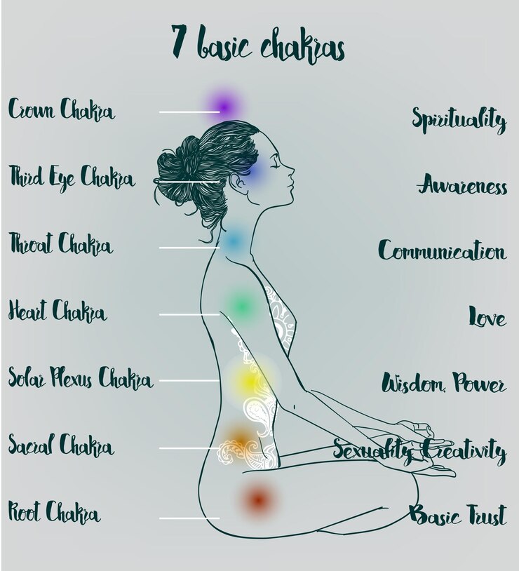 Vector beautiful yoga girl in lotus pose with basic chakres