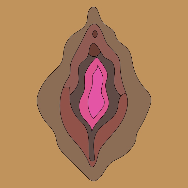 Vector beauty female reproductive system. illustrator a vagina. vector