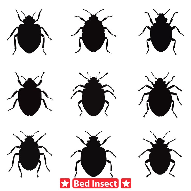 Vector bed bug menace intricate vector silhouettes for extermination services