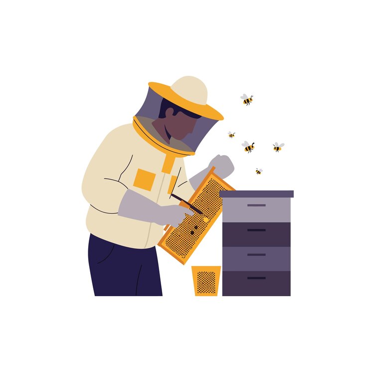 Vector beekeeper inspecting a honeycomb frame with bees flying around the hive