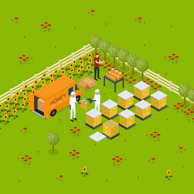 Beekeeping Apiary Farm Concept Isometric View Vector