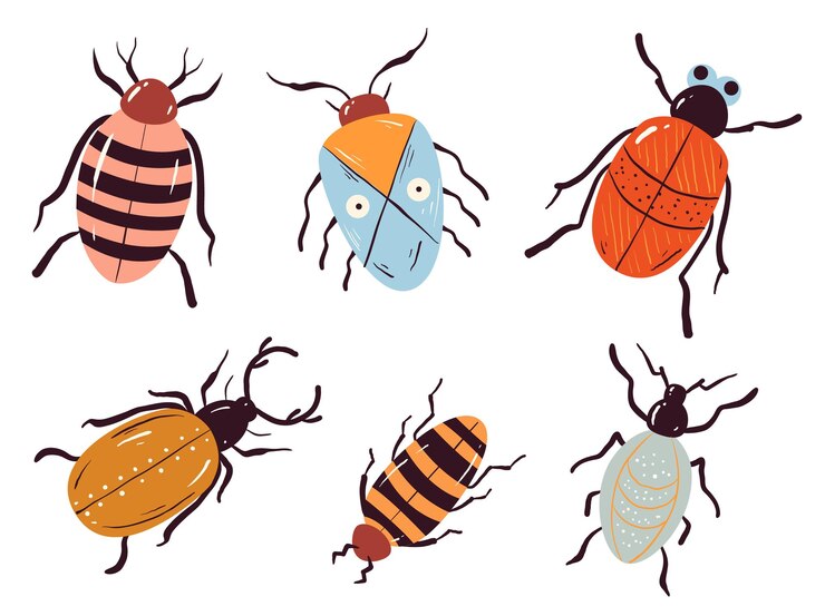 Vector beetle insect cute bug ladybug isolated set concept design graphic illustration