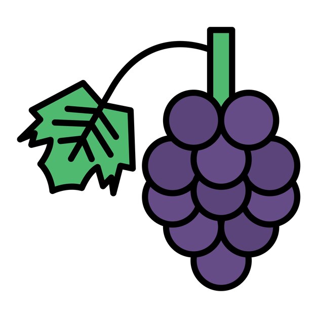 Berries Flat Illustration
