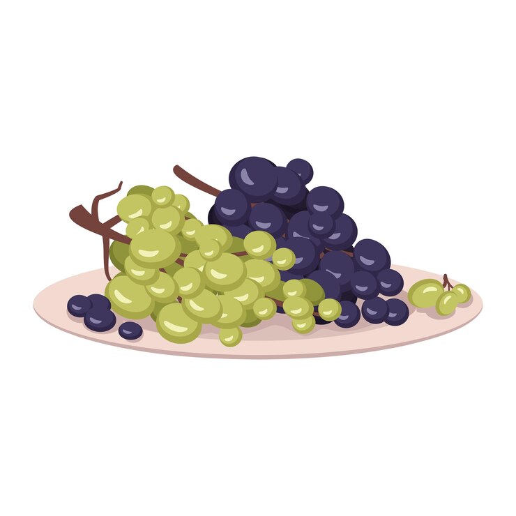 Berries of dark and light grapes on branch lie on plate. Sweet healthy food, tasty dessert or snack. Vector flat illustration