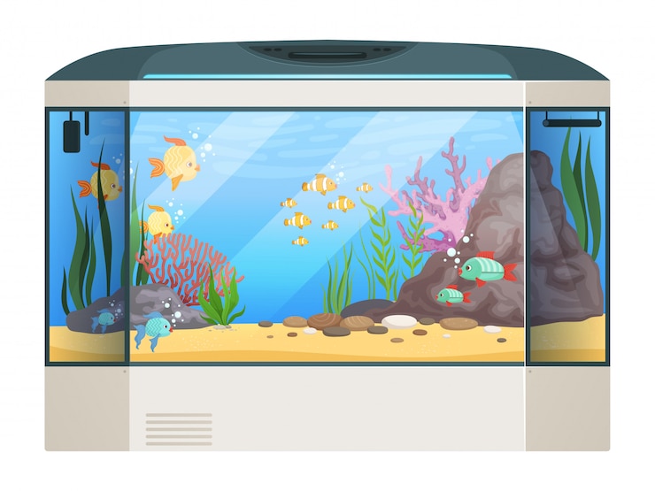 Vector big aquarium. fishes and water plants in glass aquarium tank underwater life cartoon illustration