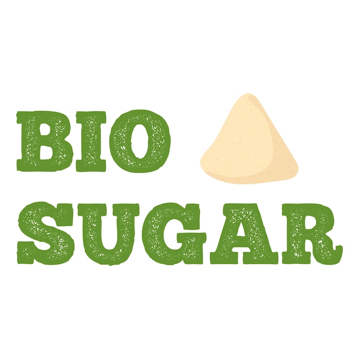 Vector bio sugar vector illustration isolated on white background, illustration of white beet