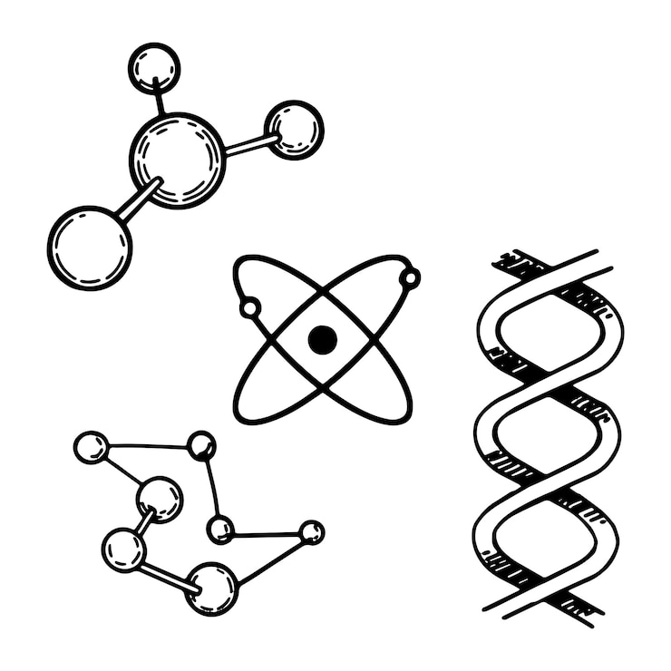 Vector biology chemistry formulas school attributes collection set of hand drawn vector illustrations cliparts isolated on white