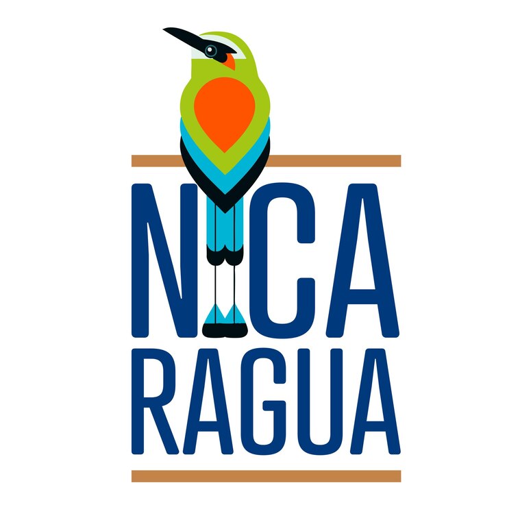 Vector bird turquoisebrowed motmot eumomota superciliosa national bird from nicaragua