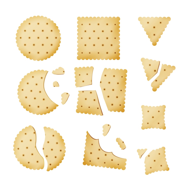 Vector bitten chip biscuit