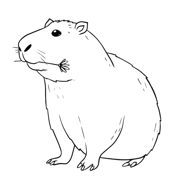 Black and white contour image of the capybara Capybara with flower