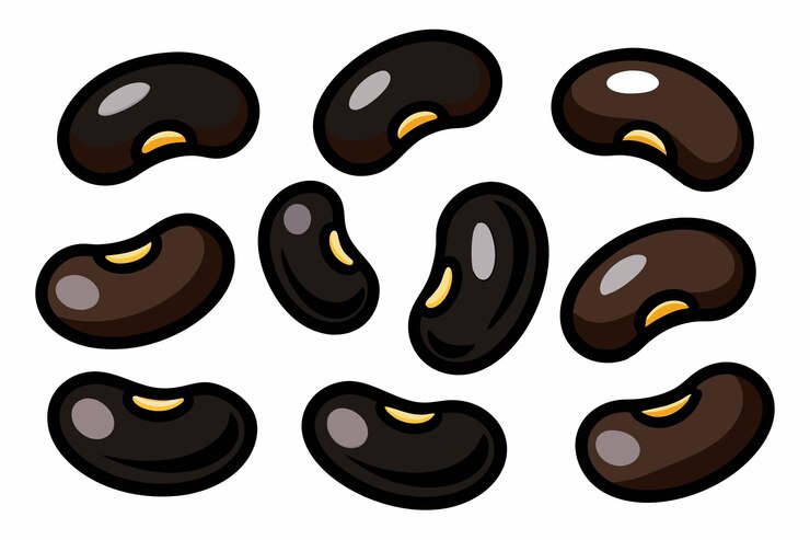 Vector black beans art illustration beauty