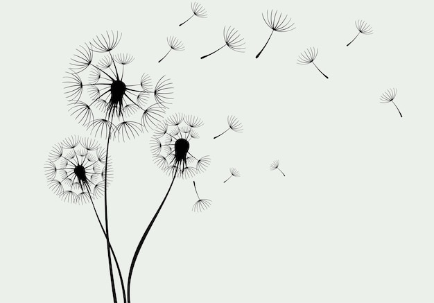 Black silhouette with flying dandelion buds