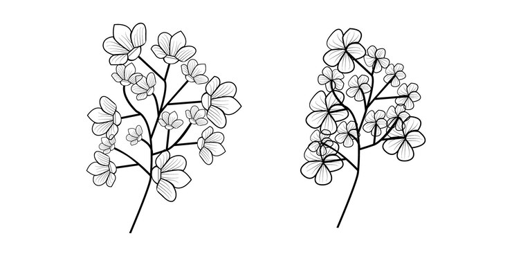 Black silhouettes of flowers grass and herbs pro vector