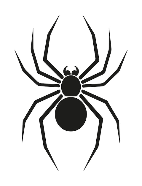 black spider vector
