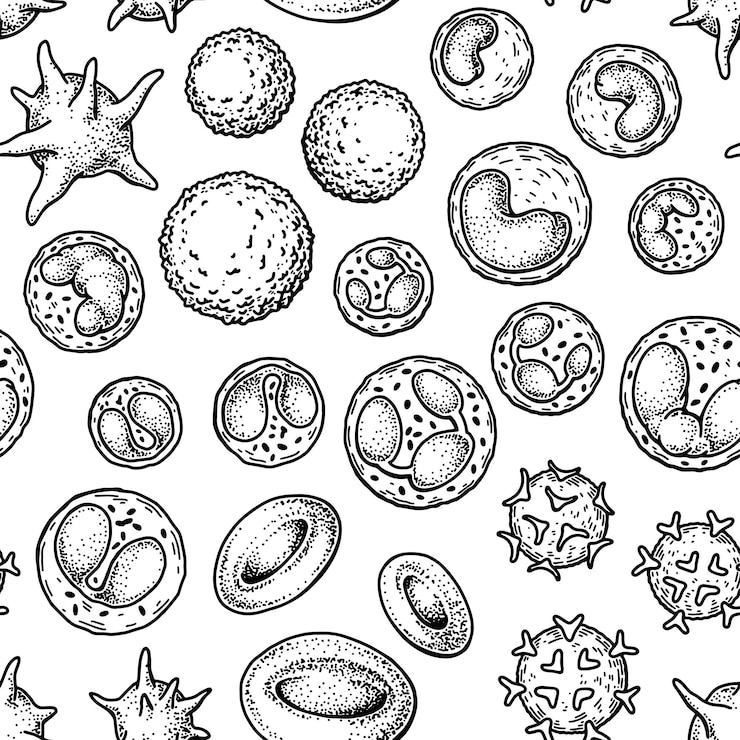 Vector blood cells seamless pattern