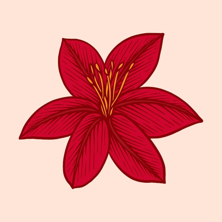 Vector blossoms flower hibiscus