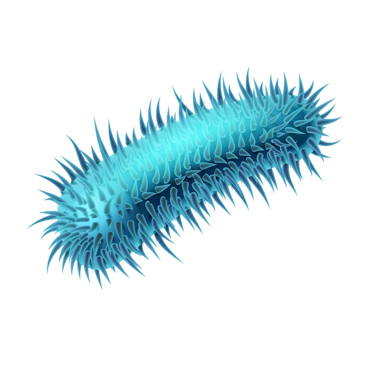 Vector blue rod-shaped bacillus bacterium with fimbriae isolated on white background