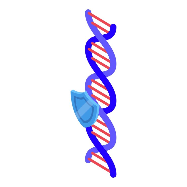 Vector blue shield protecting a dna strand concept of genetic security and safeguarding biological information