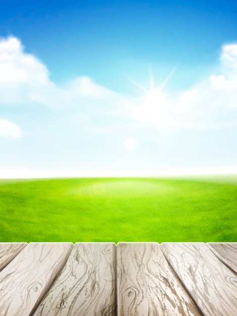 blue sky and field of green grass
