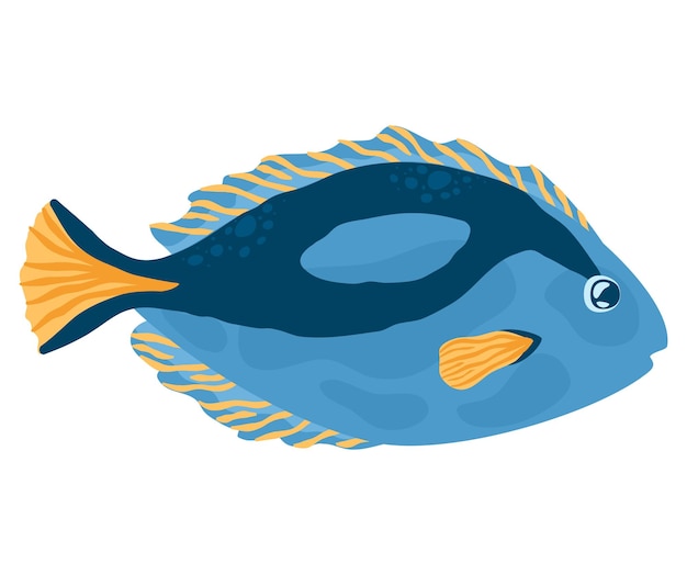 Blue tropical fish with yellow fins and stripes isolated on white background marine life and