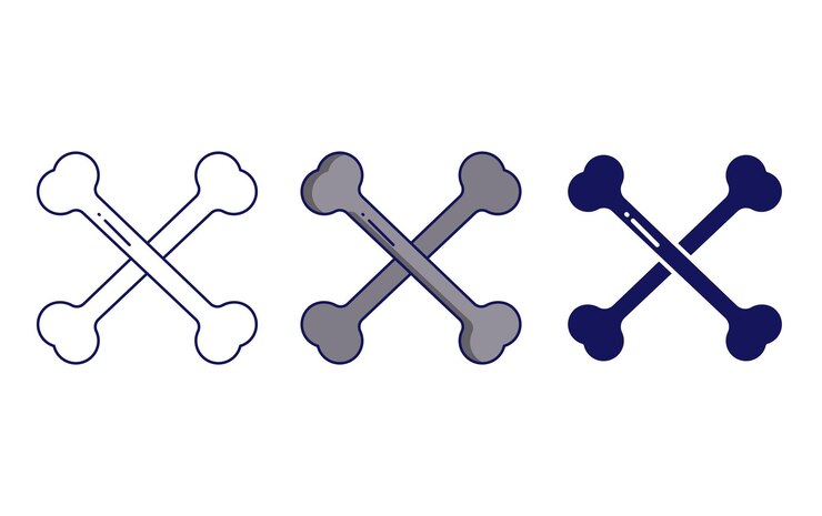 Vector bone vector icon