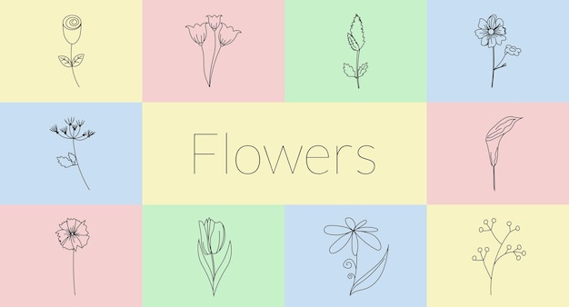 Botanical collection of spring flower elements Set of wildflower in linear style in multicolored