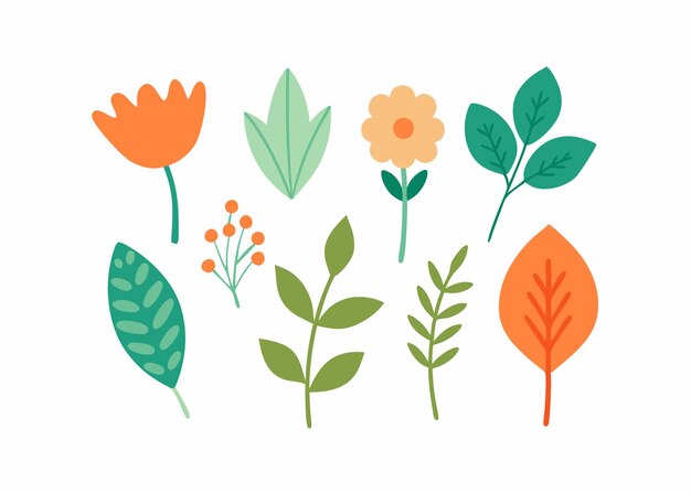 Botanical doodles collection flat illustration on white background