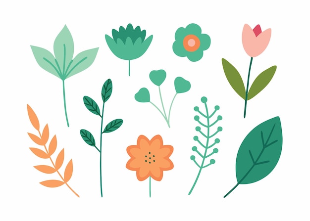 Botanical doodles collection flat illustration on white background