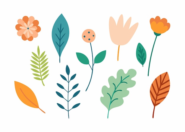 Botanical doodles collection flat illustration on white background