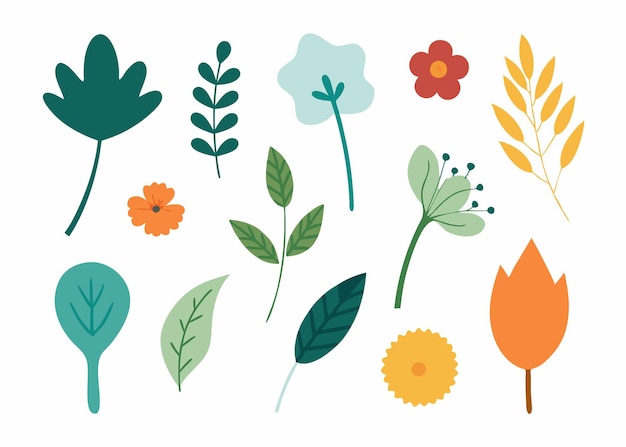 Botanical doodles collection flat illustration on white background
