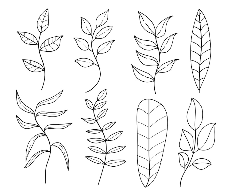Botanical leaf and branches outline sketch hand drawn collection Vector illustration