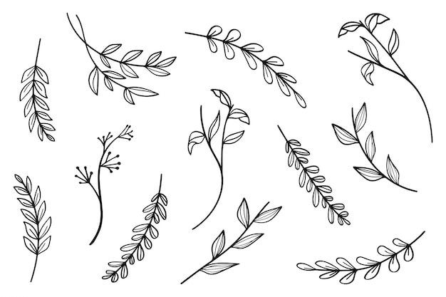 Botanical Plants and Flowers Line Art Collection Vintage Drawing