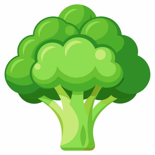 broccoli clipart cartoon style vector illustration