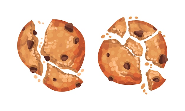 Broken crispy cookies with chocolate chips set vector illustration on white background