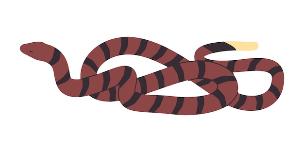 Brown and striped black color snake wild nature reptile animal dangerous venomous predator creature