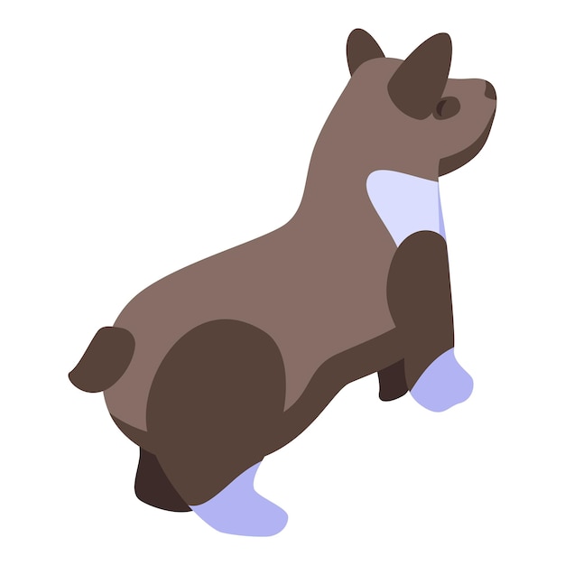 brown corgi dog icon isometric of brown corgi dog vector icon for web design isolated on white background
