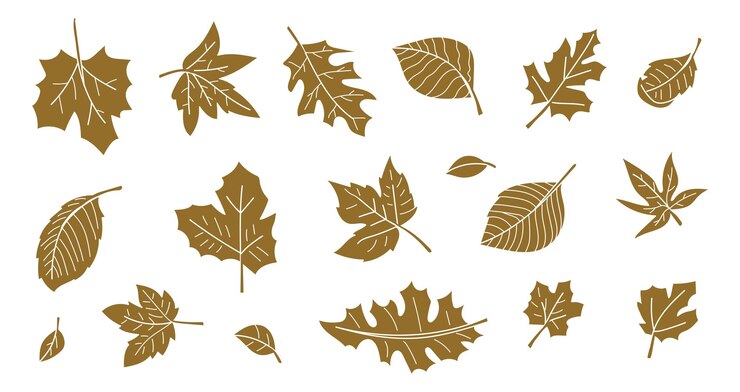 Brown silhouette autumn leaves collection Vector illustration