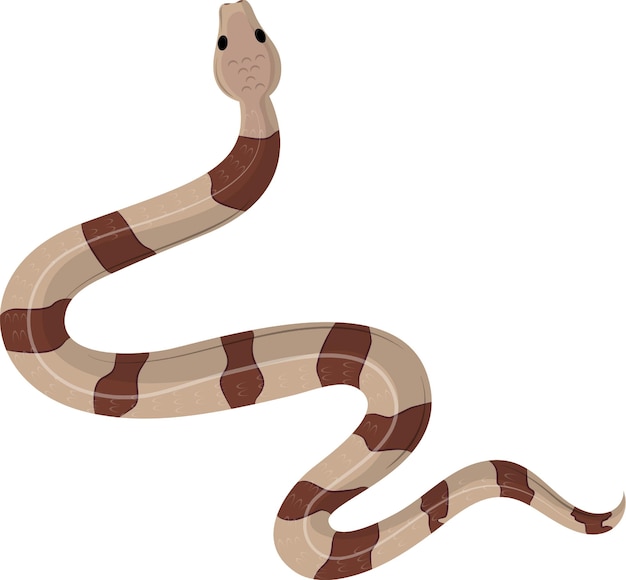Brown Snake