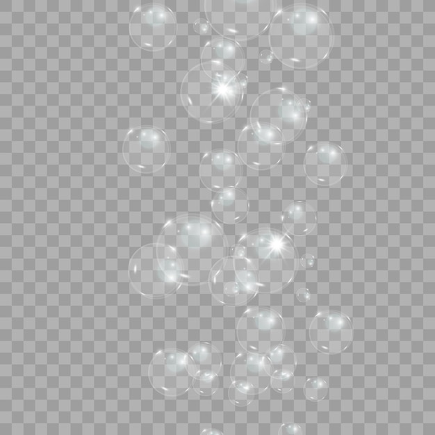 bubble vector soap bubble on a transparent background vector design