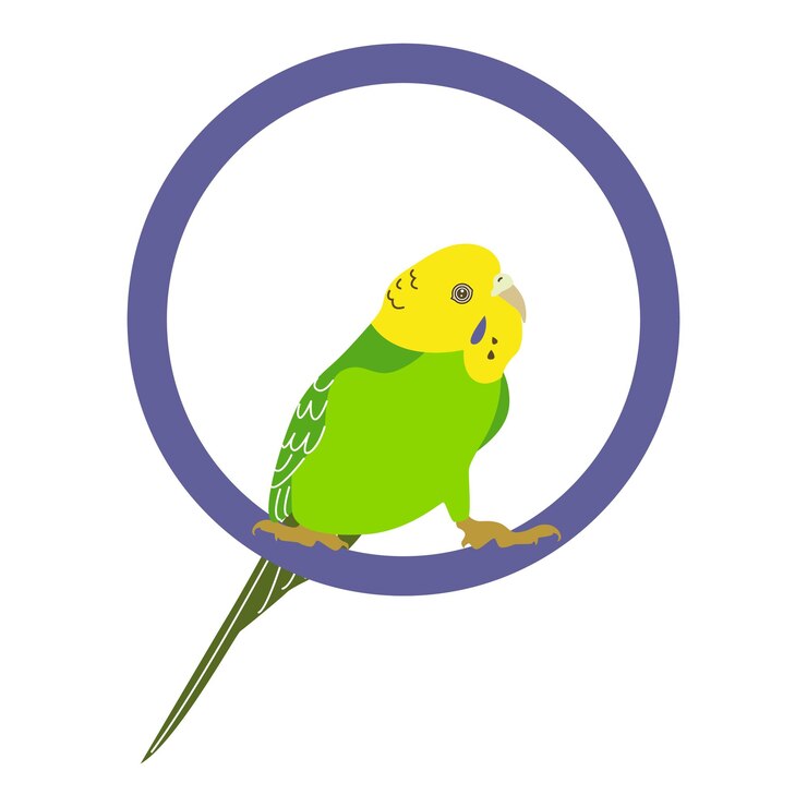 Vector budgerigar green parrot budgie bird or colorful parakeet pet cartoon style