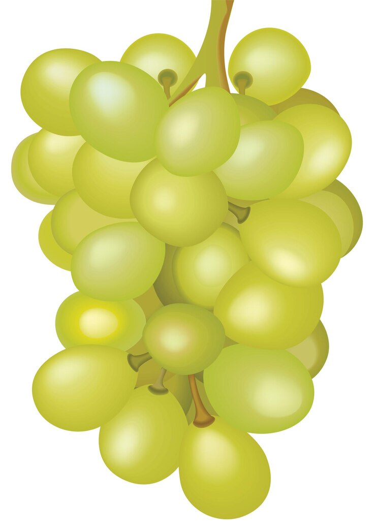 Bunch grapes