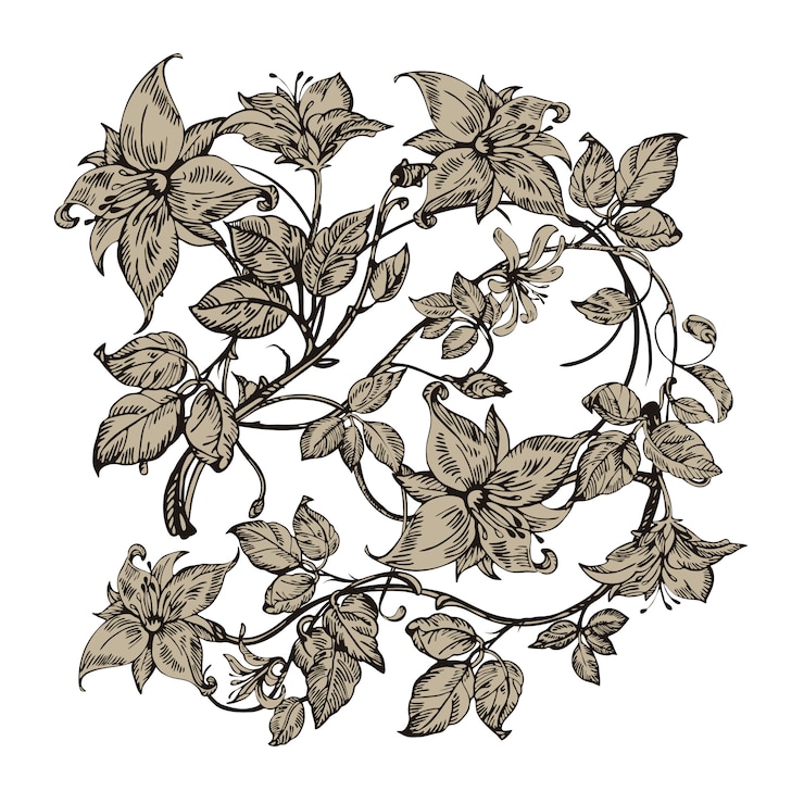 Vector bunga elegan vintage.