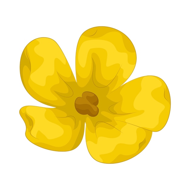 buttercup flower