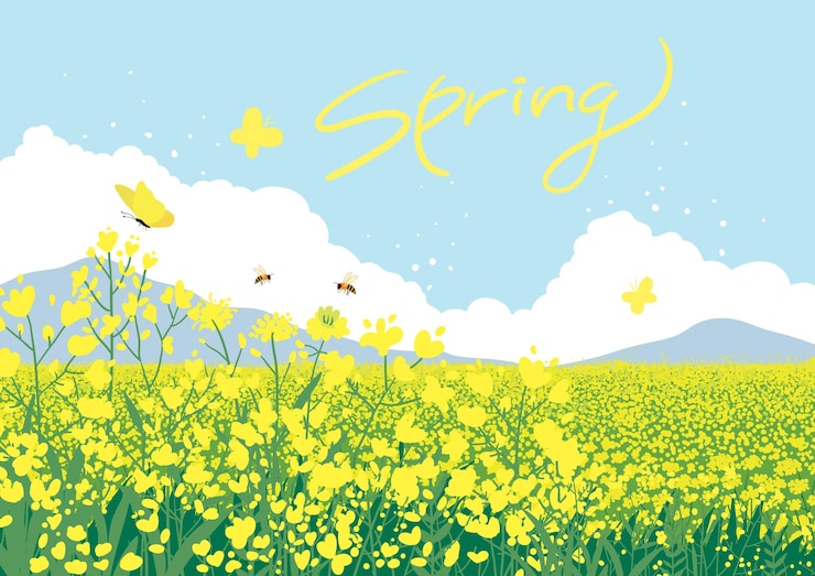 Vector butterflies and bees in a vast field of yellow rape flowers