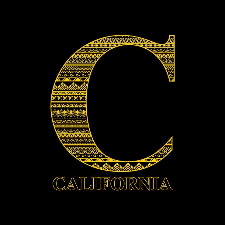 Vector california tribal pattern simple vintage