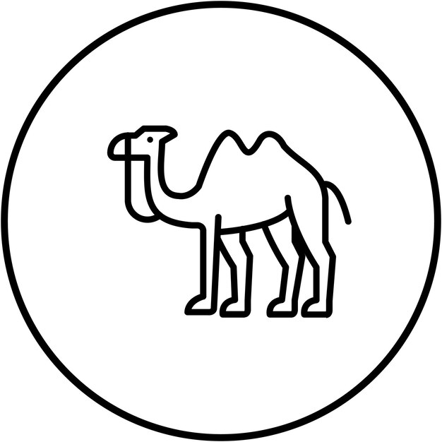 Camels vector icon Can be used for Hajj Pilgrimage iconset